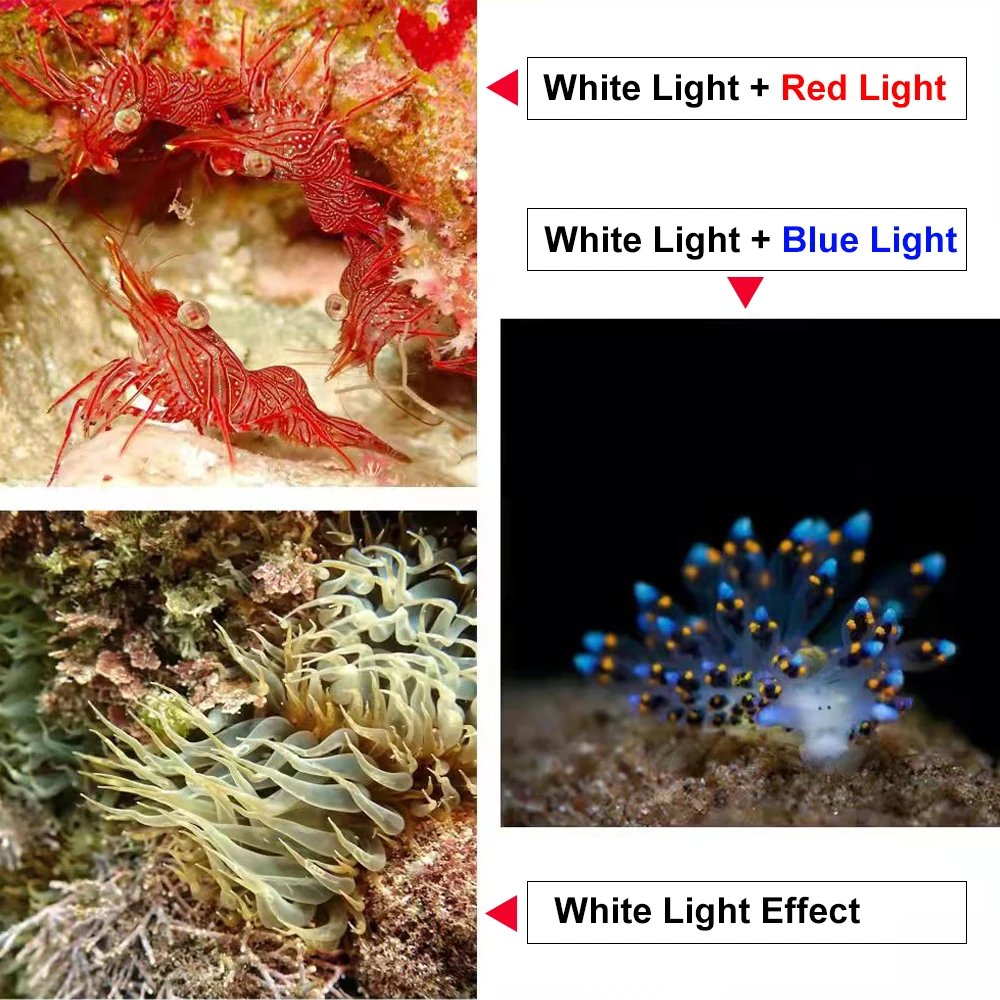 Professional Photography Underwater Lamp For Diving Torch COB LED IPX8 100M Diving Flashlight Camera Video Fill Light Lantern
